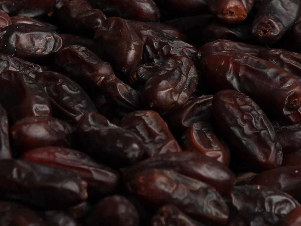 Close-up of elongated Rabbi dates