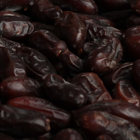 Rabbi dates, close-up