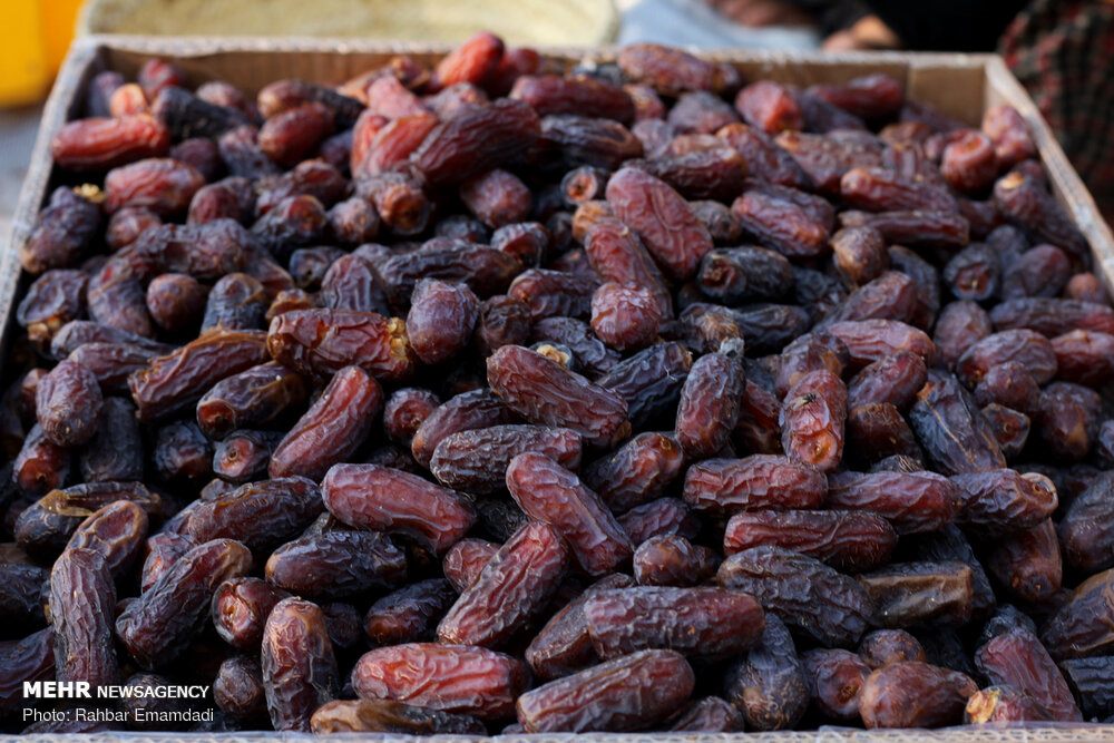 A crate of harvested Piarom dates, Hormozgan